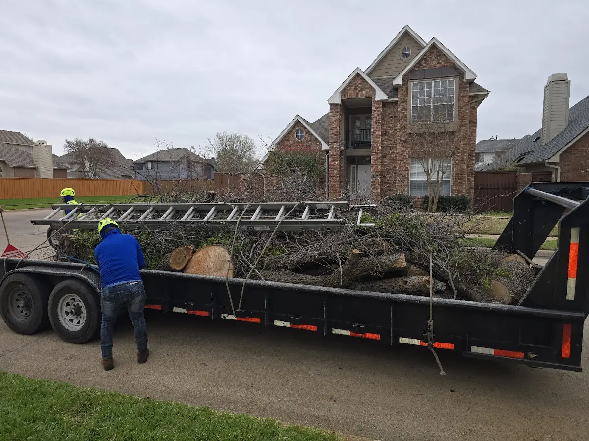 Expert Lot Clearing with proper safety equipment in Warroad